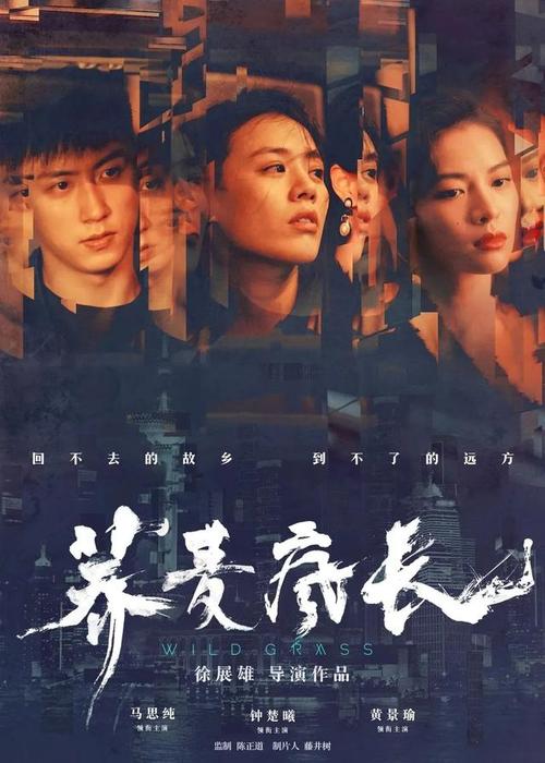 伪造圣彼得堡学院文凭毕业证